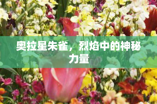 烈焰中的神秘力量图片