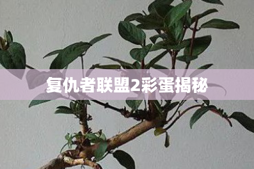 复仇者联盟2彩蛋揭秘图片