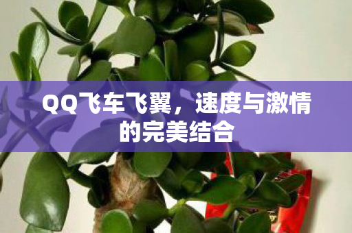 速度与激情的完美结合图片