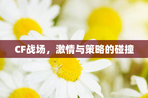 激情与策略的碰撞图片