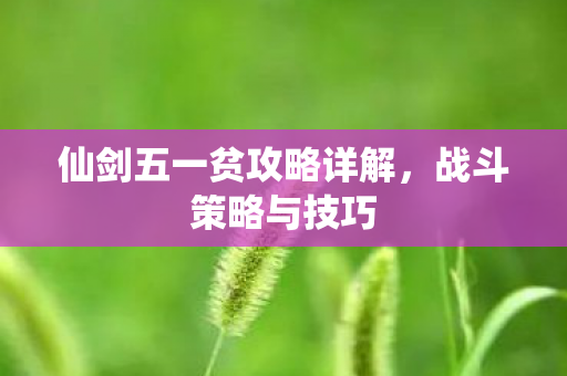 仙剑五一贫攻略详解图片