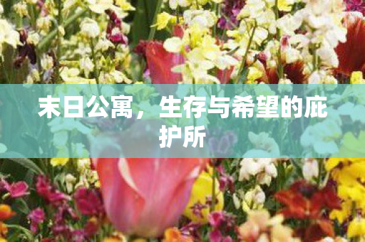生存与希望的庇护所图片