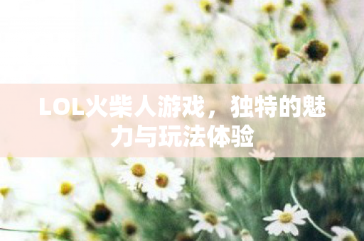 独特的魅力与玩法体验图片