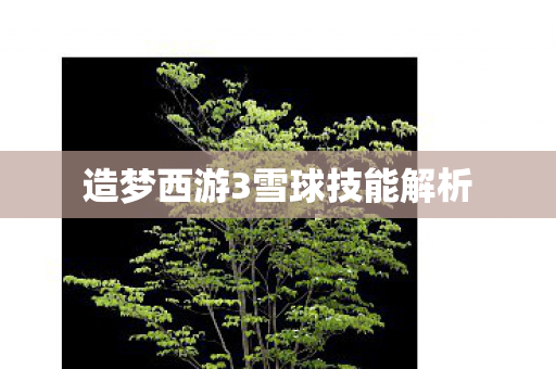 造梦西游3雪球技能解析图片