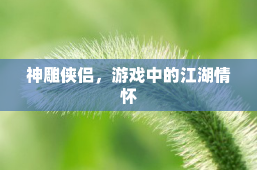 游戏中的江湖情怀图片