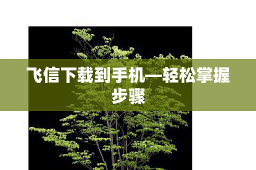 飞信下载到手机图片