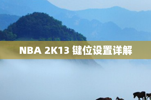 NBA 2K13 键位设置详解图片