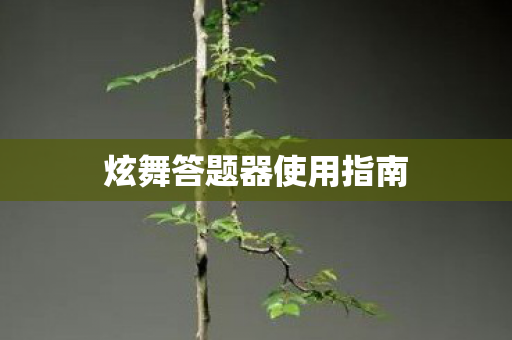 炫舞答题器使用指南图片