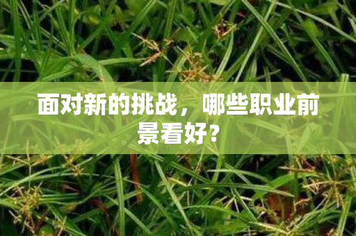 哪些职业前景看好图片