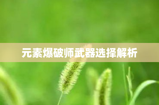 元素爆破师武器选择解析图片