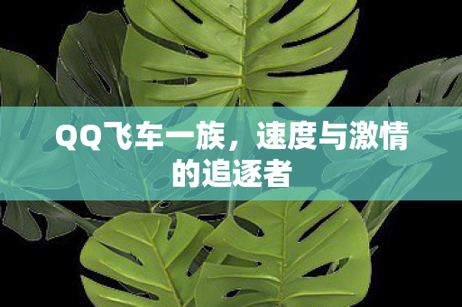 速度与激情的追逐者图片
