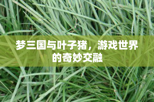 游戏世界的奇妙交融图片