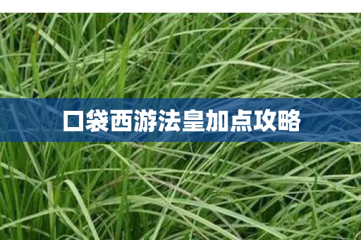 口袋西游法皇加点攻略图片