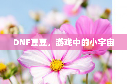 游戏中的小宇宙图片