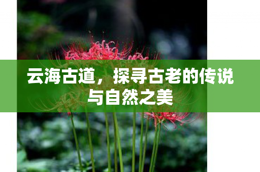 探寻古老的传说与自然之美图片