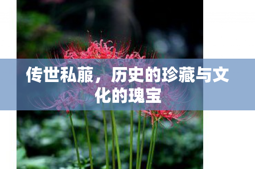 历史的珍藏与文化的瑰宝图片