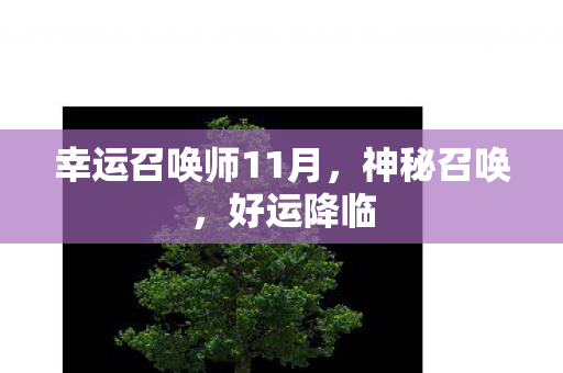 幸运召唤师11月图片