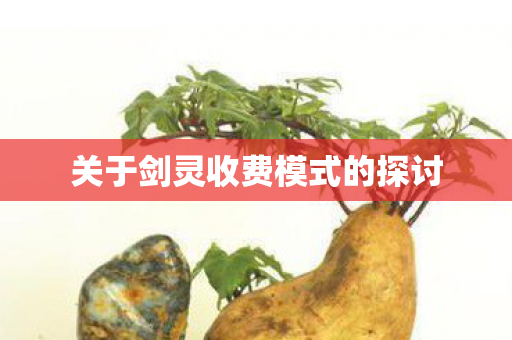 关于剑灵收费模式的探讨图片