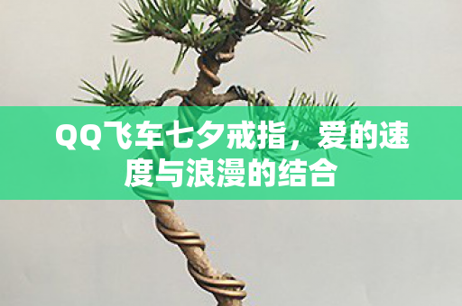 爱的速度与浪漫的结合图片
