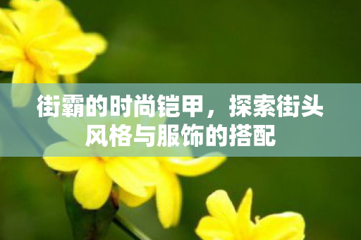 探索街头风格与服饰的搭配图片