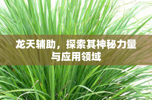 探索其神秘力量与应用领域图片