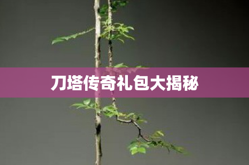 刀塔传奇礼包大揭秘图片
