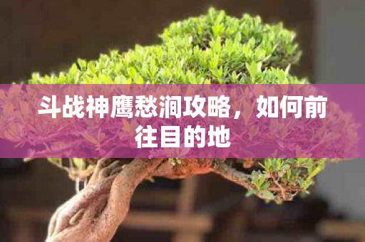 斗战神鹰愁涧攻略图片