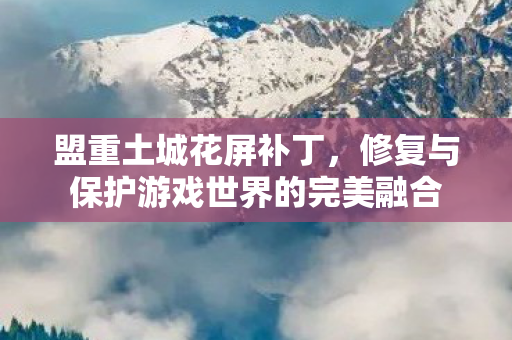 修复与保护游戏世界的完美融合图片