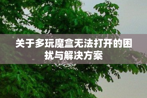 关于多玩魔盒无法打开的困扰与解决方案图片