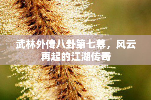 武林外传八卦第七幕图片