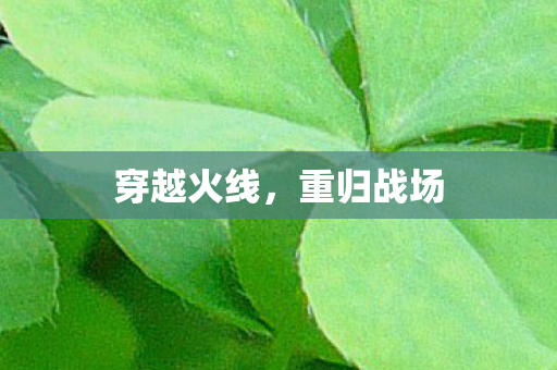 穿越火线图片