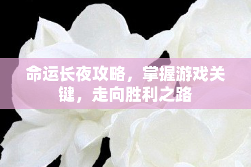命运长夜攻略图片
