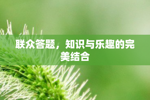 知识与乐趣的完美结合图片