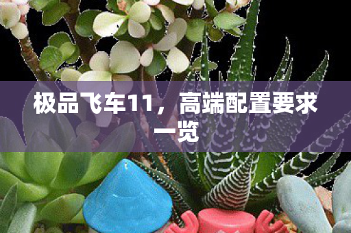 高端配置要求一览图片