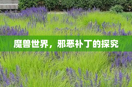 邪恶补丁的探究图片