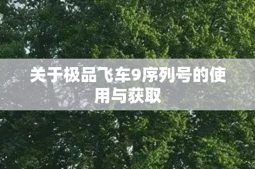 关于极品飞车9序列号的使用与获取图片
