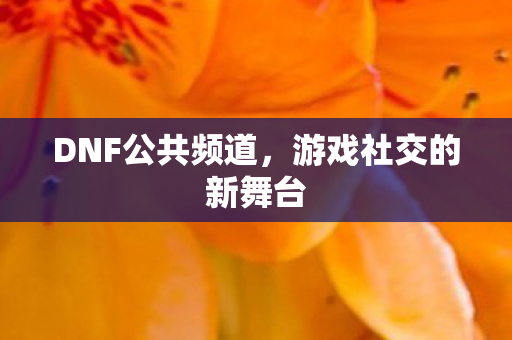 游戏社交的新舞台图片