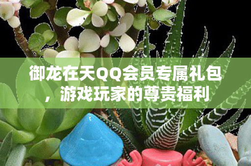 御龙在天QQ会员专属礼包图片