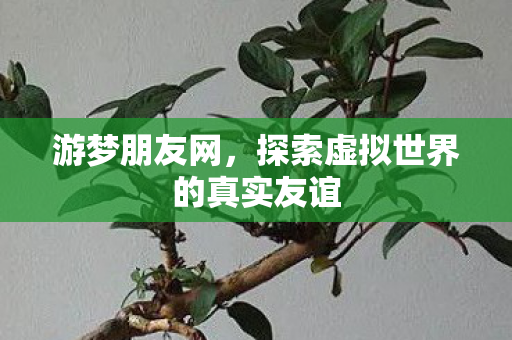 探索虚拟世界的真实友谊图片