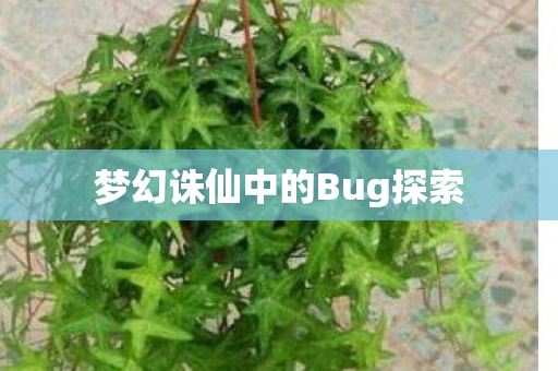 梦幻诛仙中的Bug探索图片
