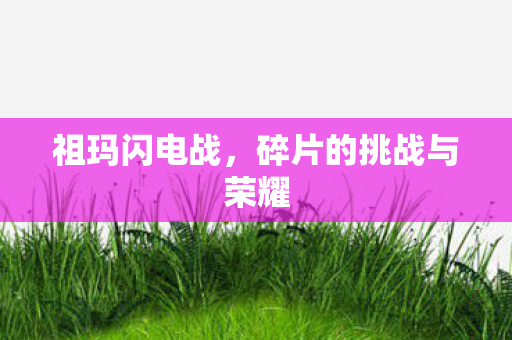 碎片的挑战与荣耀图片