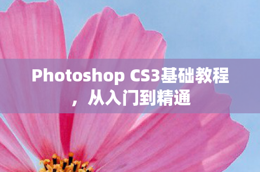 Photoshop CS3基础教程图片