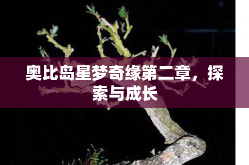 奥比岛星梦奇缘第二章图片