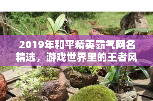 2019年和平精英霸气网名精选图片