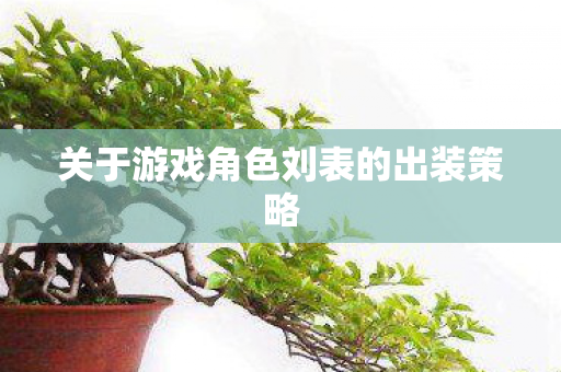 关于游戏角色刘表的出装策略图片