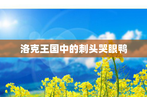 洛克王国中的刺头哭眼鸭图片