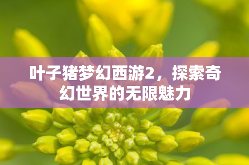 探索奇幻世界的无限魅力图片