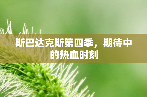 斯巴达克斯第四季图片