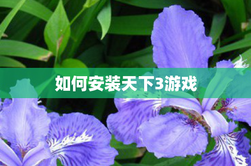 如何安装天下3游戏图片