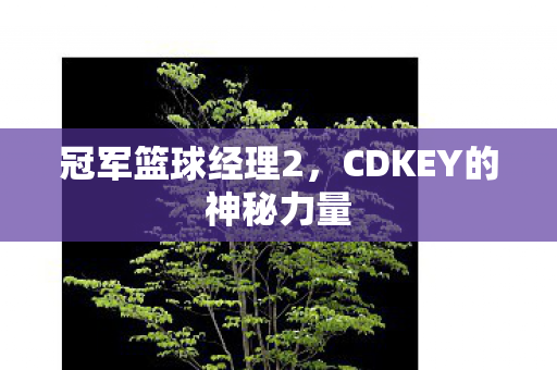 CDKEY的神秘力量图片